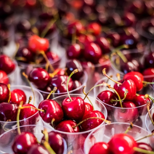 Fresh Fruit